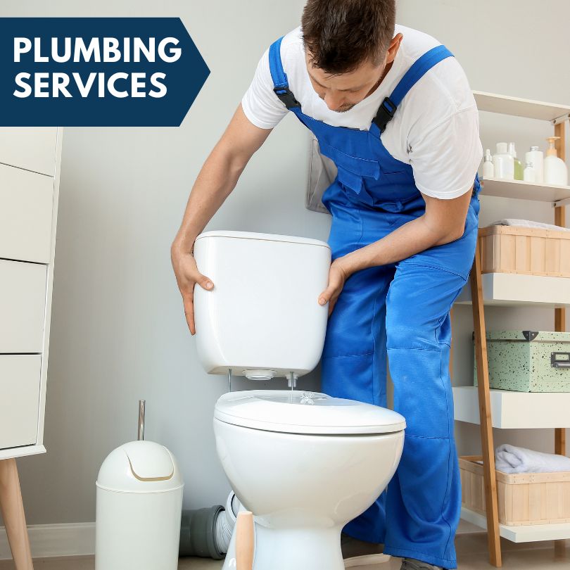 Plumbing Company in Swedesburg, IA